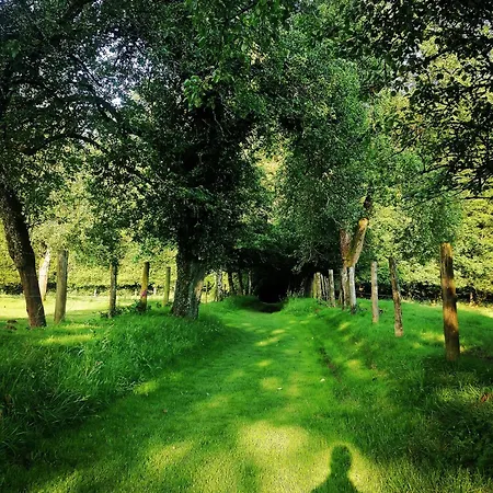 شقة Cycle Normandie And Relive The Belle Epoque Times! *